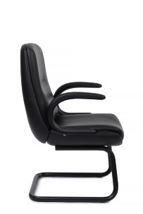 Кресло Данте-СФ C2561-12